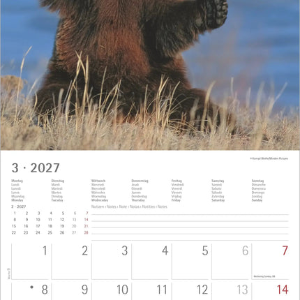 AlphaEdition Funny Animals Kalender 2027