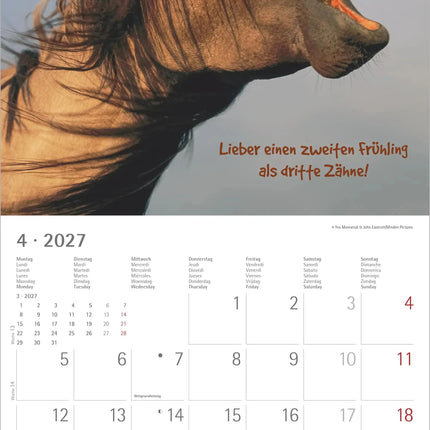 AlphaEdition Funny Animals Kalender 2027