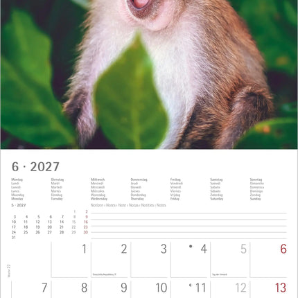 AlphaEdition Funny Animals Kalender 2027