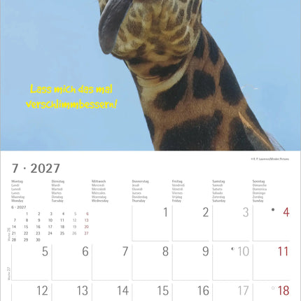 AlphaEdition Funny Animals Kalender 2027