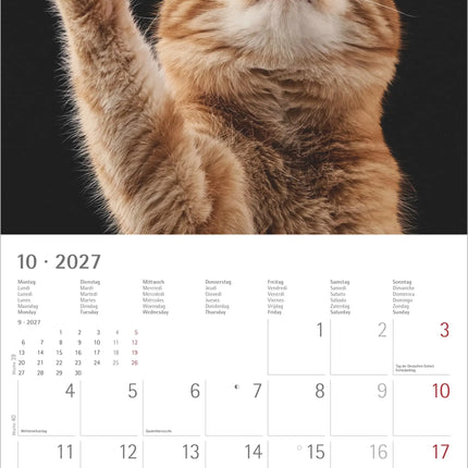 AlphaEdition Funny Animals Kalender 2027