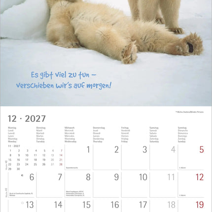 AlphaEdition Funny Animals Kalender 2027