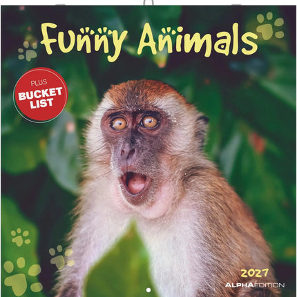 AlphaEdition Funny Animals Kalender 2027