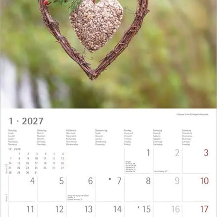 AlphaEdition Garden en Decoration Kalender 2027