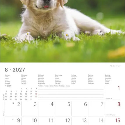 AlphaEdition Honden Kalender 2027