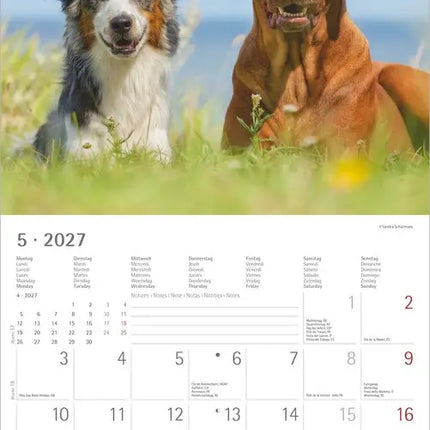 AlphaEdition Honden Kalender 2027