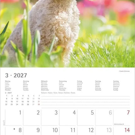 AlphaEdition Honden Kalender 2027