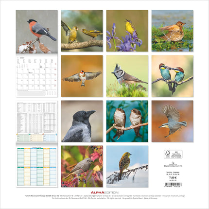 AlphaEdition Inheemse Vogels Kalender 2027
