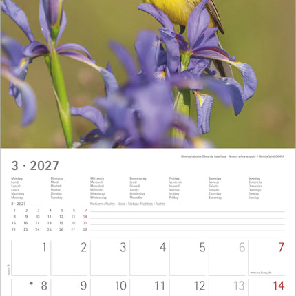 AlphaEdition Inheemse Vogels Kalender 2027