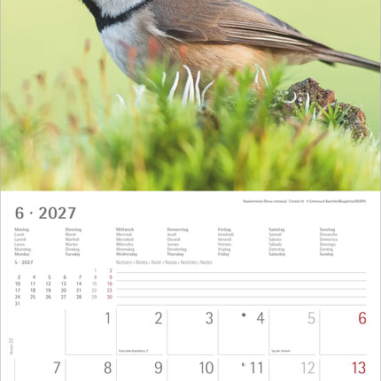 AlphaEdition Inheemse Vogels Kalender 2027