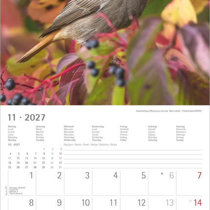 AlphaEdition Inheemse Vogels Kalender 2027