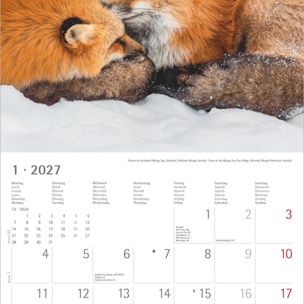 AlphaEdition Japan Kalender 2027