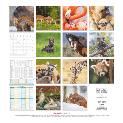 AlphaEdition Jonge Dieren Kalender 2027