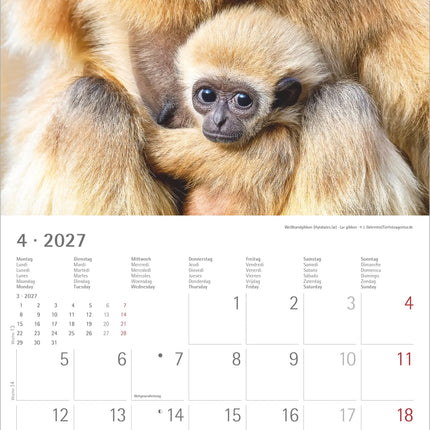 AlphaEdition Jonge Dieren Kalender 2027