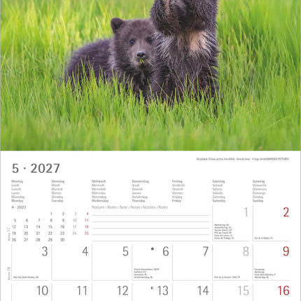 AlphaEdition Jonge Dieren Kalender 2027