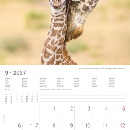 AlphaEdition Jonge Dieren Kalender 2027