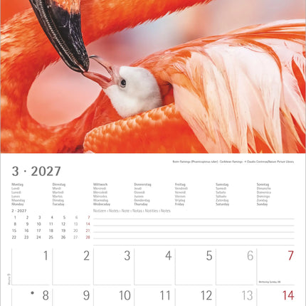 AlphaEdition Jonge Dieren Kalender 2027