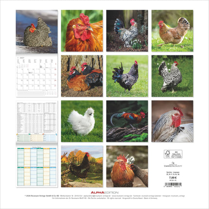 AlphaEdition Kippen Kalender 2027