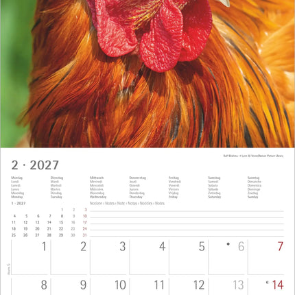 AlphaEdition Kippen Kalender 2027