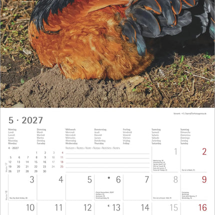 AlphaEdition Kippen Kalender 2027