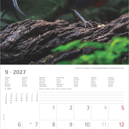 AlphaEdition Kippen Kalender 2027