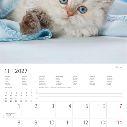 AlphaEdition Kittens Kalender 2027