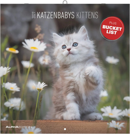 AlphaEdition Kittens Kalender 2027