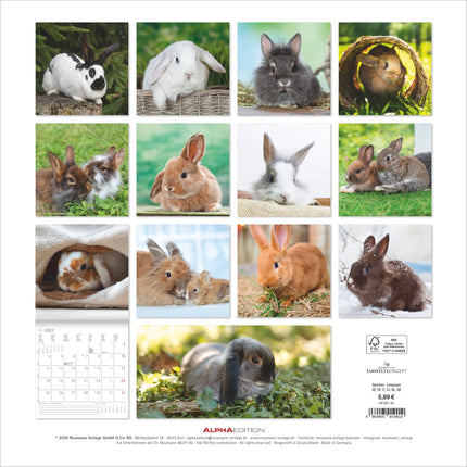 AlphaEdition Konijnen Kalender 2027