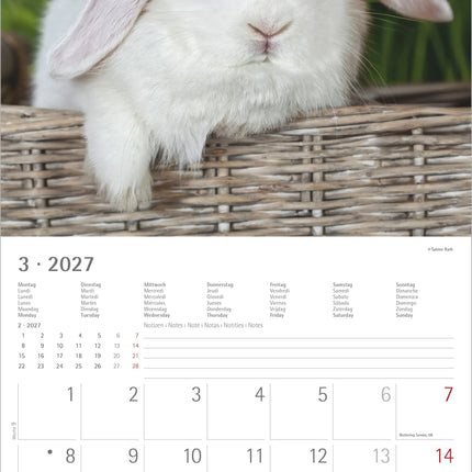 AlphaEdition Konijnen Kalender 2027