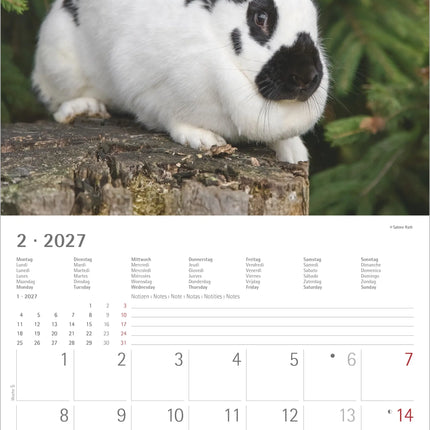 AlphaEdition Konijnen Kalender 2027