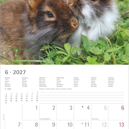 AlphaEdition Konijnen Kalender 2027