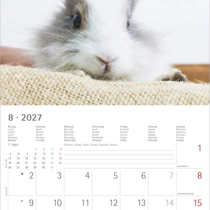 AlphaEdition Konijnen Kalender 2027