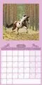 AlphaEdition Mijn Paarden Kalender 2027