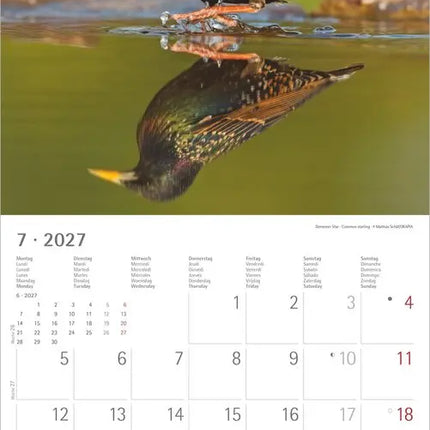 AlphaEdition Mysterieus bosleven Kalender 2027