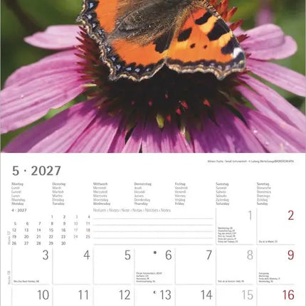 AlphaEdition Mysterieus bosleven Kalender 2027