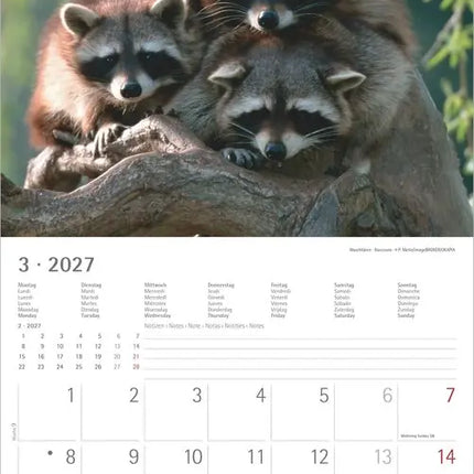 AlphaEdition Mysterieus bosleven Kalender 2027