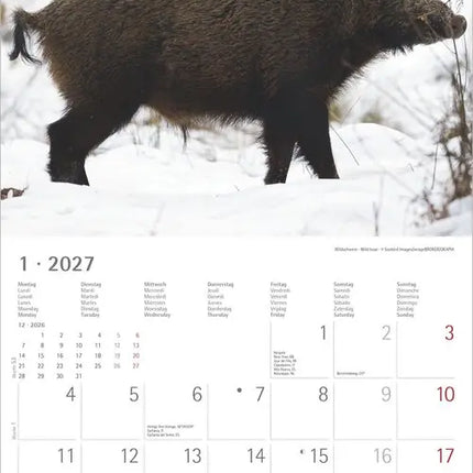 AlphaEdition Mysterieus bosleven Kalender 2027