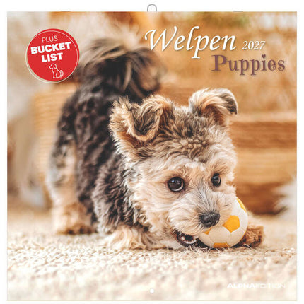 AlphaEdition Puppies Kalender 2027