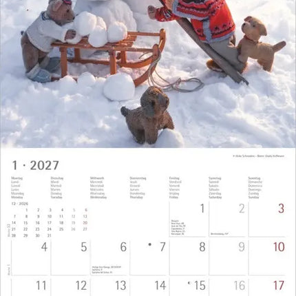 AlphaEdition Teddy Bears Kalender 2027