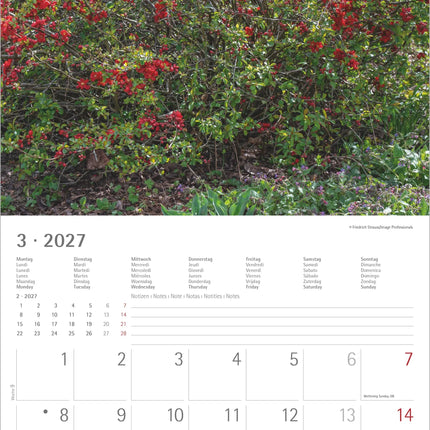 AlphaEdition Tuin Magie Kalender 2027