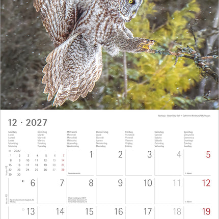 AlphaEdition Uilen Kalender 2027