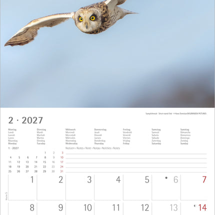 AlphaEdition Uilen Kalender 2027