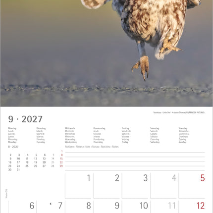 AlphaEdition Uilen Kalender 2027