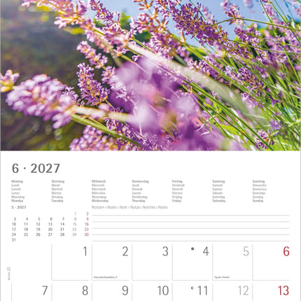 AlphaEdition Zonnige Momenten Kalender 2027