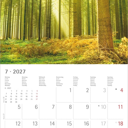 AlphaEdition Zonnige Momenten Kalender 2027