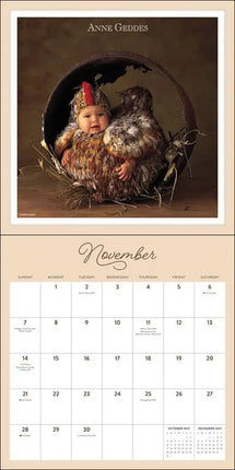 Andrews McMeel Anne Geddes Kalender 2027