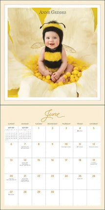 Andrews McMeel Anne Geddes Kalender 2027