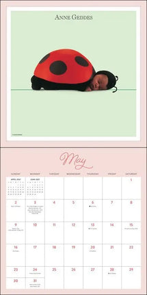 Andrews McMeel Anne Geddes Kalender 2027