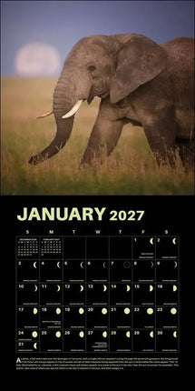 Andrews McMeel Lunar Kalender 2027