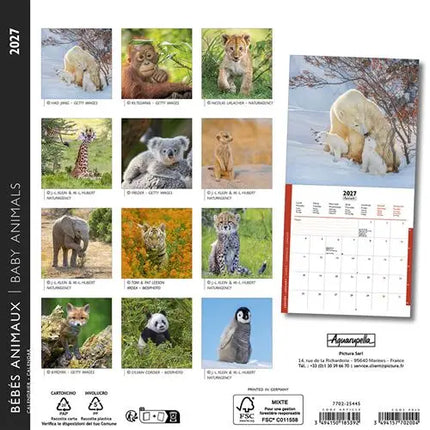 Aquarupella Baby Dieren Kalender 2027 Mini